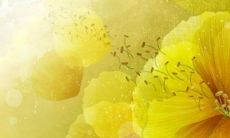 75年女兔2023本命年运势如何 霉运不断努力奋斗