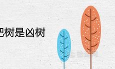 为什么说枇杷树是凶树 风水寓意不好吗