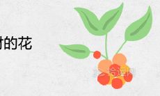 镇宅又聚财的花 室内好养辟邪旺宅的植物