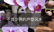 不宜少男的户型风水