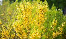 床底下忌讳放的三样东西 会破财影响婚姻感情