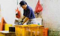 属虎女不好的出生时辰 什么时候生命苦