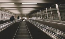 为什么说男怕属虎 一生命运不好吗