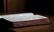 2022年属猪的重大贵人及运势