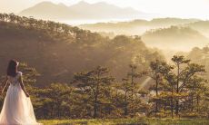 2022哪个生肖红鸾星入命 有桃花的属相