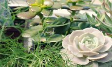 给姓杜的宝宝起名 杜姓简单又好记的名字