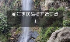 蛇年家居绿植开运要点!