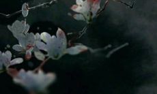 老板桌上的摆件有哪些 黑曜石风水变得更加稳定