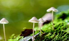 怎样取小孩名字 宝宝取名字的方法和技巧