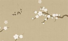 办公室风水应该坐在什么位置 坐西北向东南事业蒸蒸日上