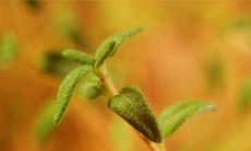 王一开头起名 男孩起名字王一什么