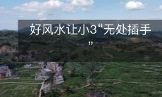 好风水让小3“无处插手”
