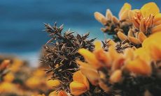 孩子姓谢取名 谢姓宝宝取名字大全