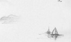 2023年生肖虎的幸运色 财富事业收获满满