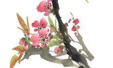 2022虎年12月肖牛者有升职加薪的机会吗 坚持到底回报巨大