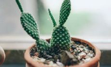 刚出生的宝宝名字怎么取 宝宝起名大全唯美