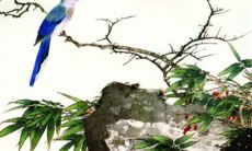 1987年出生2023年是本命年吗 弥补不足劳逸结合