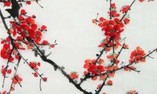 属鼠之人22年12月事业运势 安安稳稳等待机会