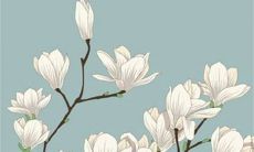 生肖蛇2022年12月事业运程走势 节节高升大展宏图