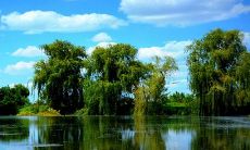 张姓男孩名字顺口好听4个字 张姓名字寓意好的