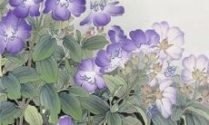 2022虎年12月生肖龙如何提升事业运 步步高升前途无量