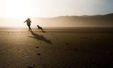 床头朝什么方向对睡眠更有利