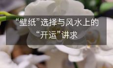 “壁纸”选择与风水上的“开运”讲求