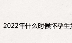 2022年什么时候怀孕生兔宝宝
