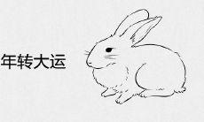 87年兔哪年转大运