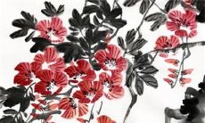 2023年属鸡大爆发 流年大运生活优越