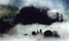 2022年12月17日冲煞生肖情况 特吉生肖查询