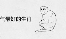 2024年运气最好的生肖