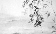 2023年属兔的是什么命 一生平顺前途无限