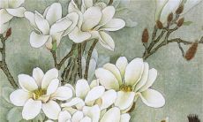 2023年最倒霉的属相 积极努力耐心等待