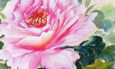 2023年有添丁之喜的属相女 大富大贵家庭和睦