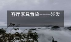 客厅家具置放----沙发