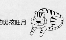 2022年属虎的男孩旺月是几月