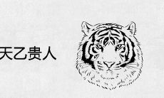2022属虎的天乙贵人