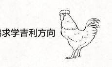 2005年属鸡求学吉利方向