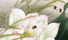 2022年农历八月搬家好吗 乔迁入宅吉日查询