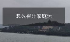 怎么崔旺家庭运