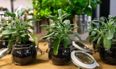 虎姓取名字大全集 宝宝姓虎取什么名字好