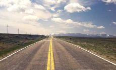 阳台在风水上适合什么植物好