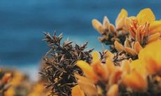 属虎女宝取名 给新生女孩起好听名字