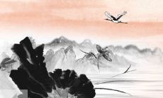 穿衣色彩攻略:2022年7月7日小暑五行穿衣属性查询