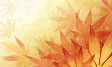 穿衣色彩攻略:2022年6月27日五行穿衣属性查询