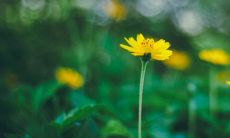 寓意好的虎宝宝名字 属虎宝宝完美名字