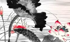 2022年7月6日五行穿衣指南 今日穿衣早知道