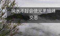 风水不好会使兄弟姐妹交恶