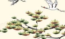 2022年7月4日五行穿衣指南 今日衣服颜色搭配查询